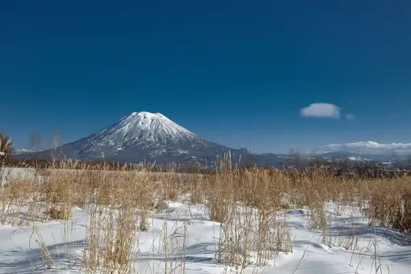 Photo of Niseko