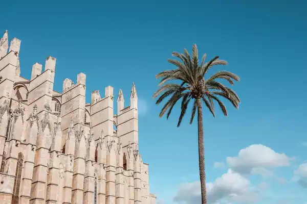 Photo of Palma