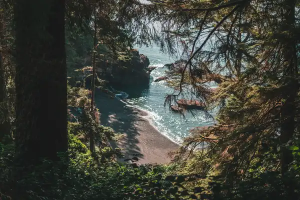 Photo of Vancouver Island