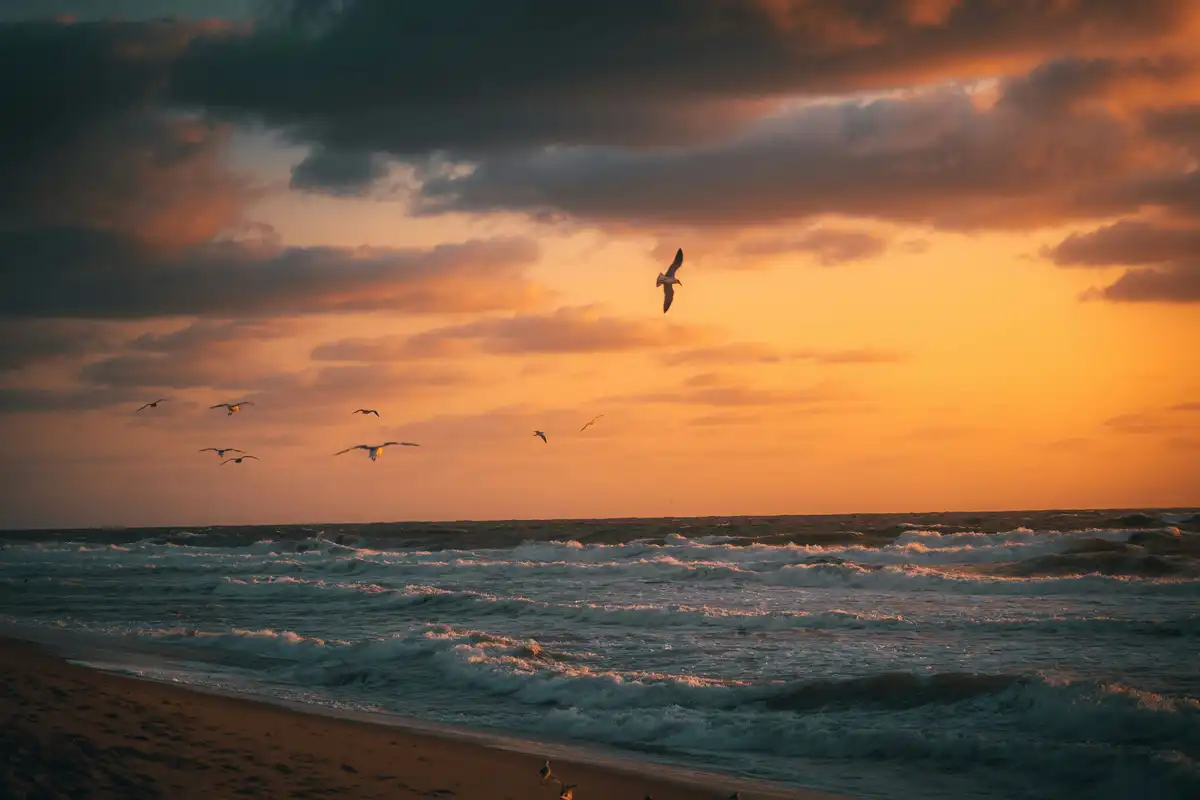 Ocean City