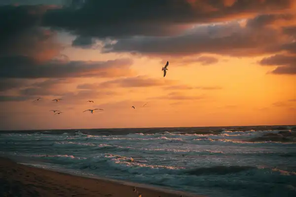 Photo of Ocean City