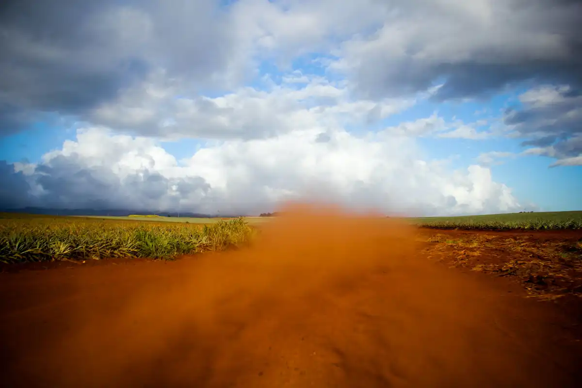 Maunaloa