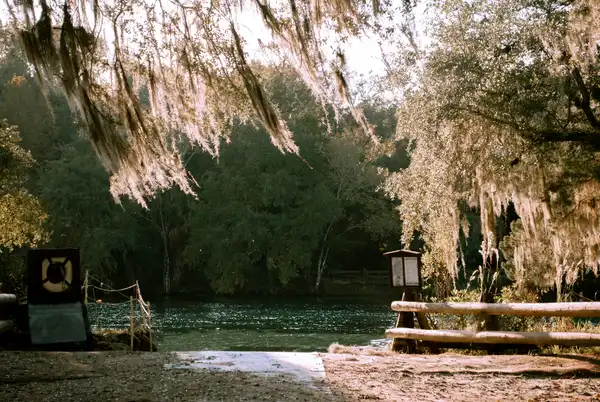 Photo of Ocala