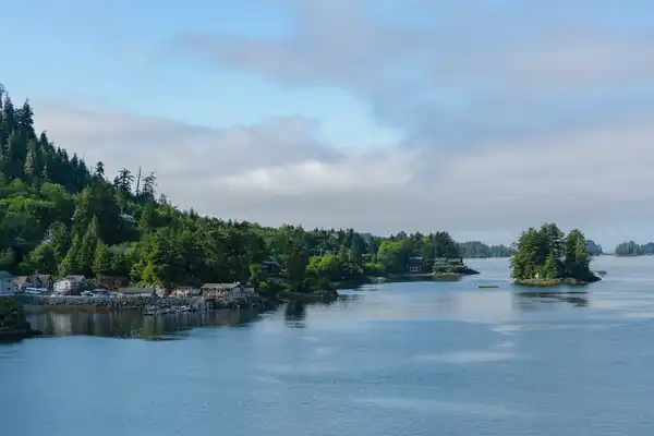 Photo of Sitka