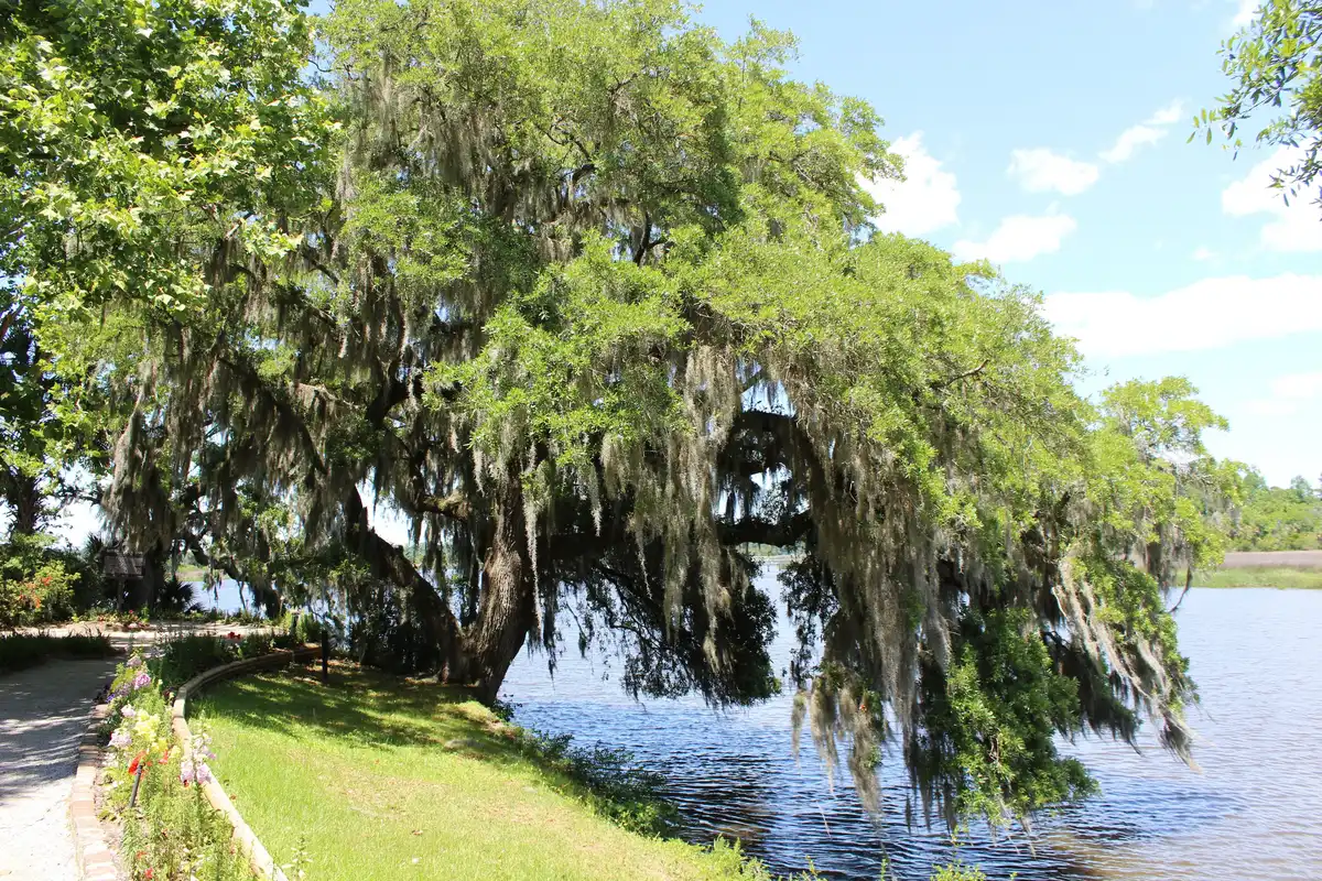 James Island