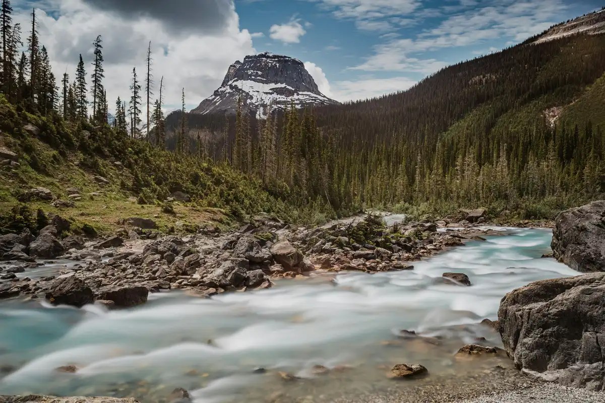 Columbia Falls