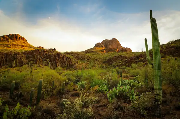 Photo of Tucson