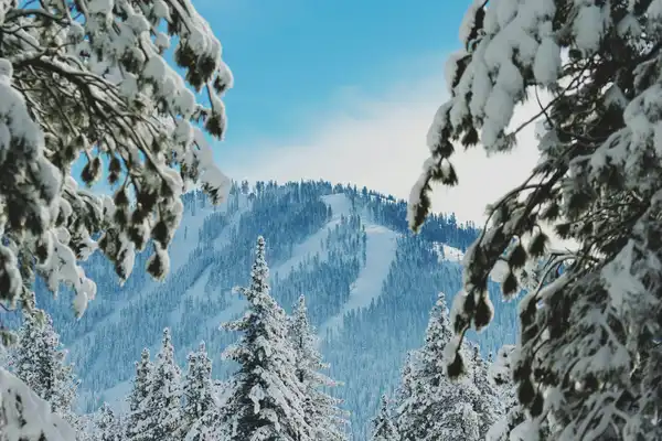 Photo of Truckee