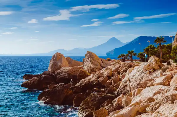 Photo of Calp