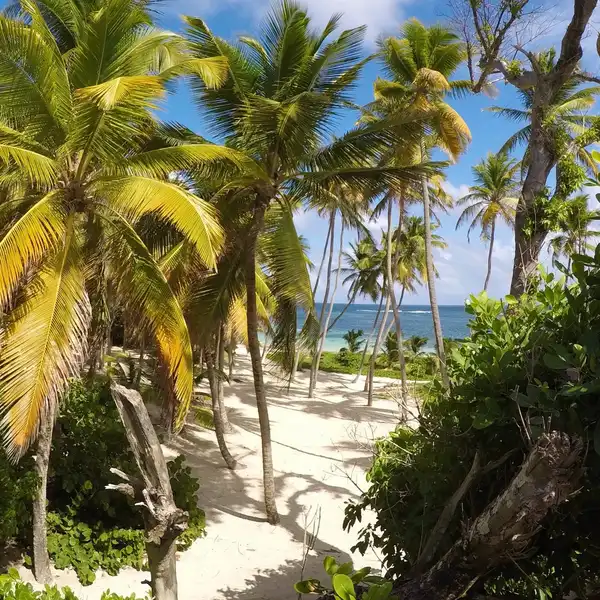 Photo of Guadeloupe