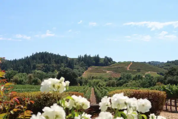 Photo of Napa Valley