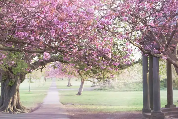 Photo of Harrogate