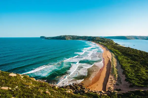 Photo of Palm Beach