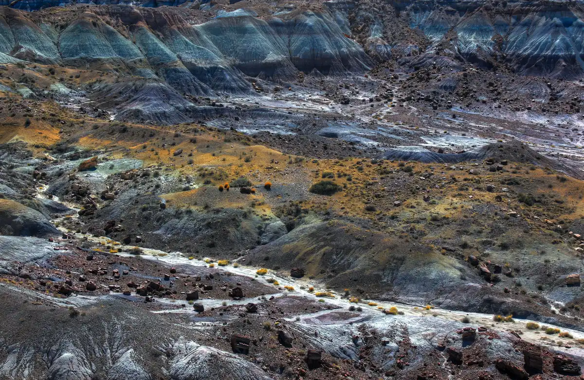 Petrified Forest National Park