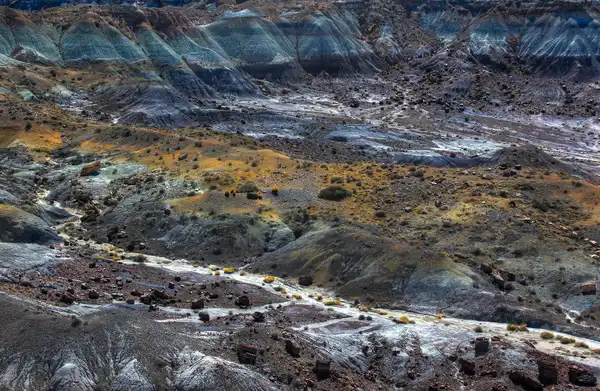 Photo of Petrified Forest National Park
