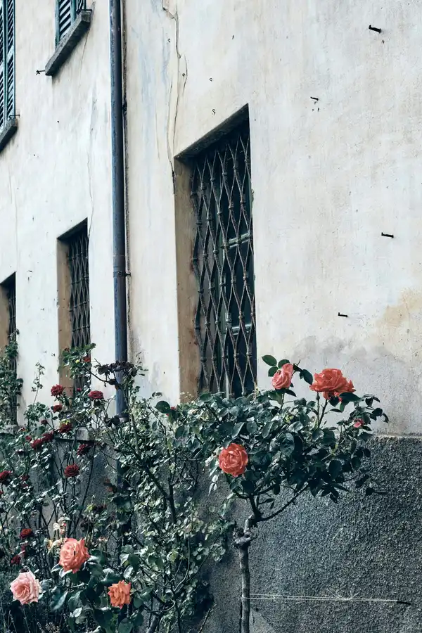 Photo of Francescas