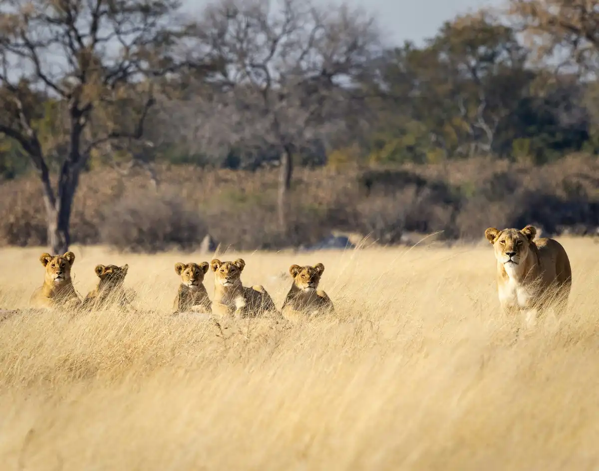 Hwange National Park