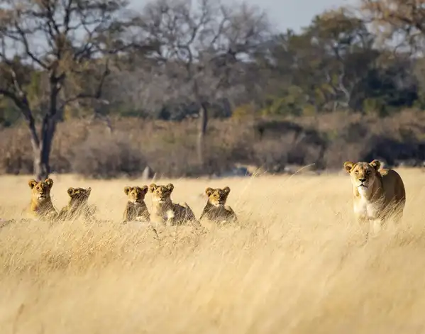 Photo of Hwange National Park