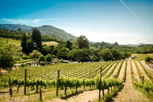 Photo of Sonoma