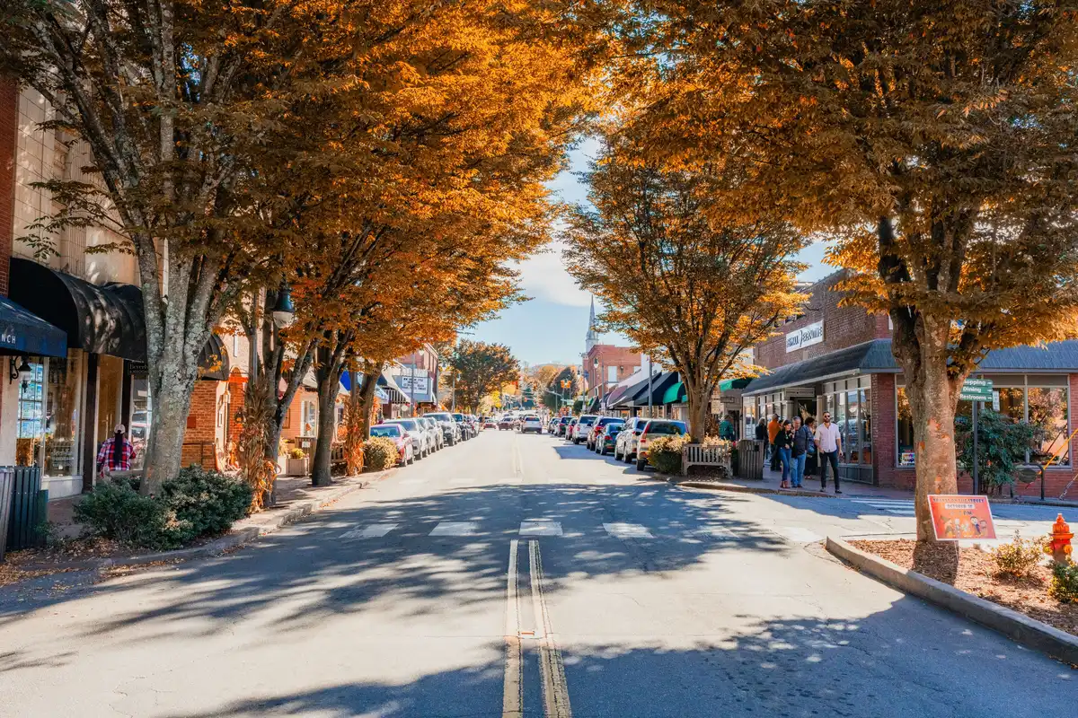 Waynesville