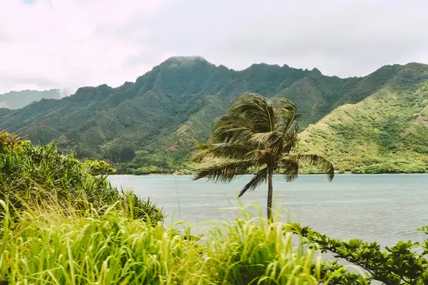 Photo of Maui