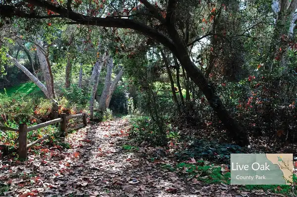 Photo of Fallbrook