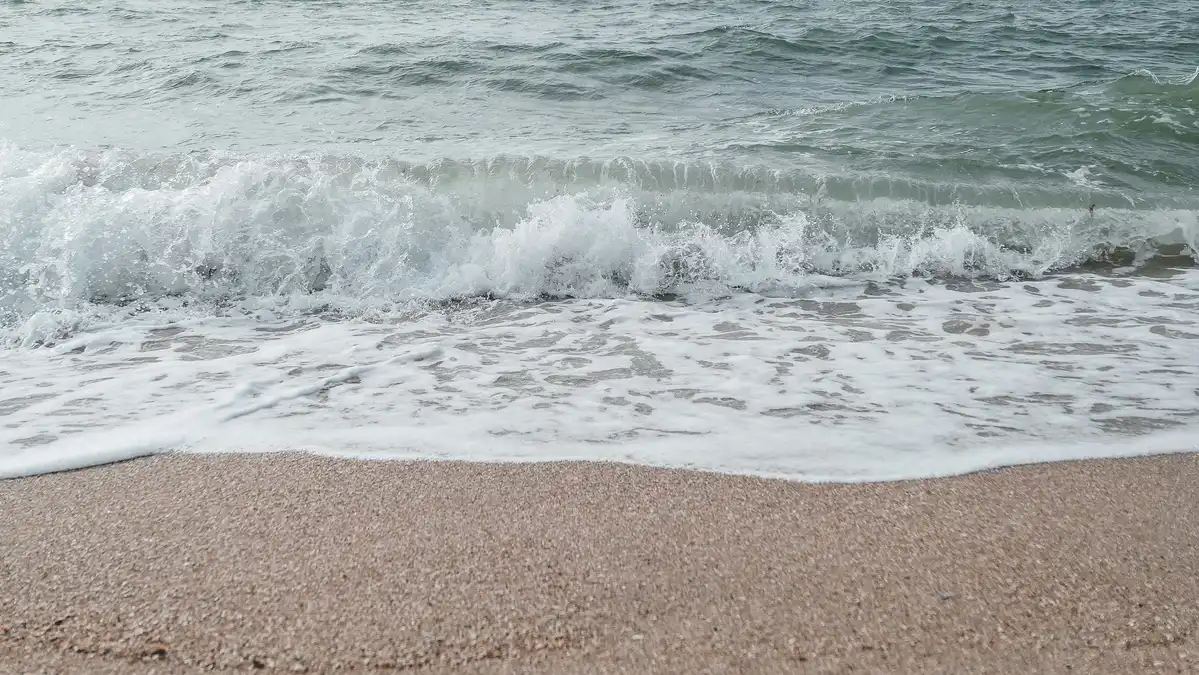 Ocean Beach