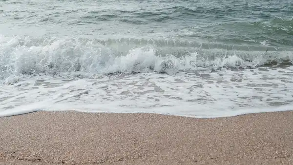 Photo of Ocean Beach