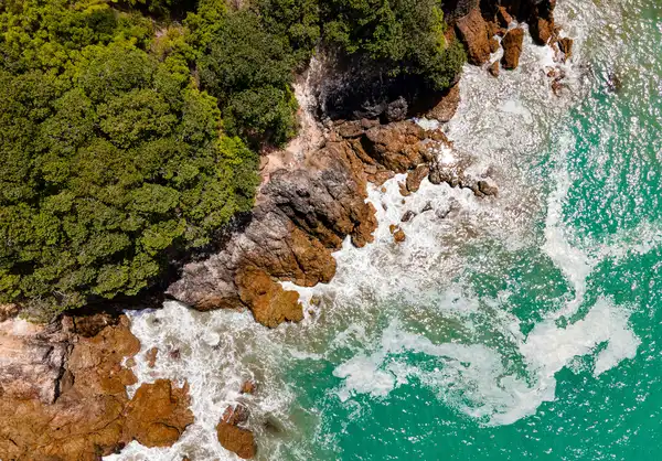 Photo of Bay of Plenty Region