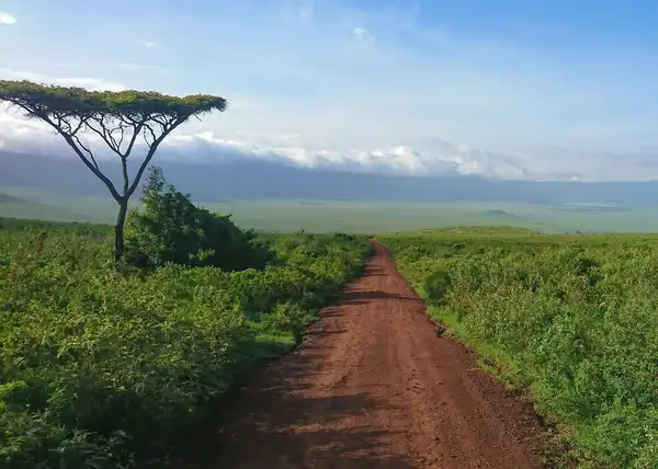 Photo of Tanzania