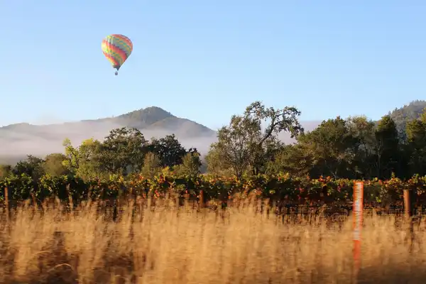 Photo of Napa
