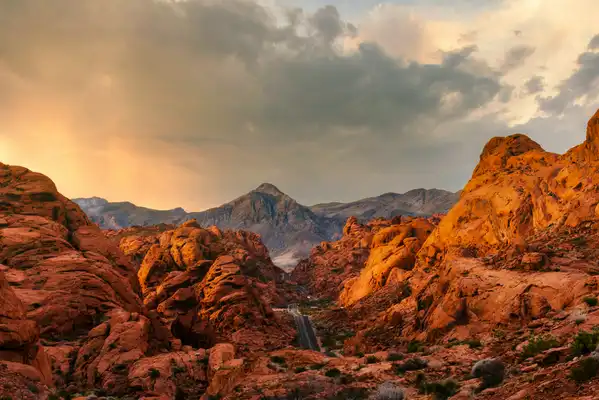 Photo of Nevada