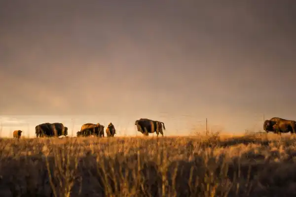 Photo of Saskatchewan