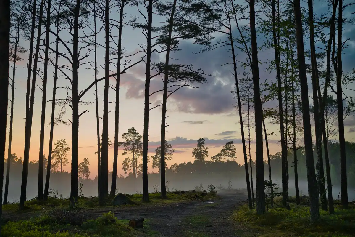 Estonia
