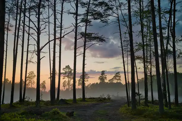 Photo of Estonia