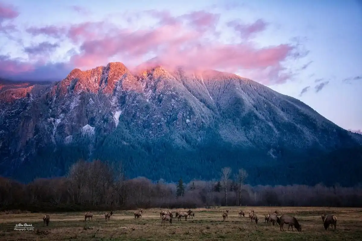 North Bend