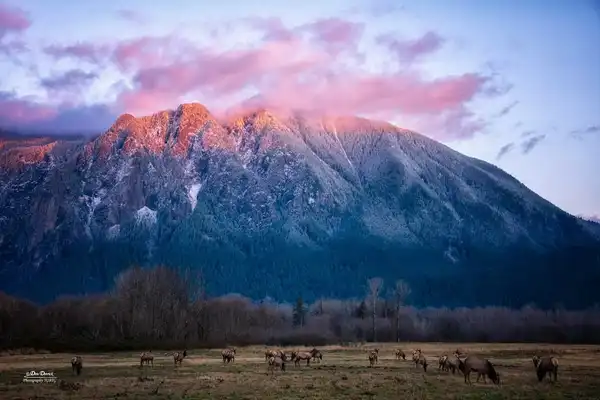 Photo of North Bend
