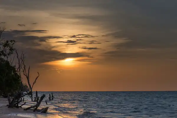 Photo of Suriname
