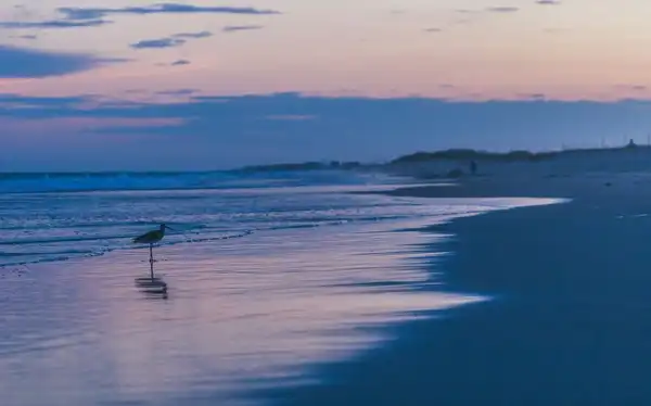 Photo of Carolina Beach