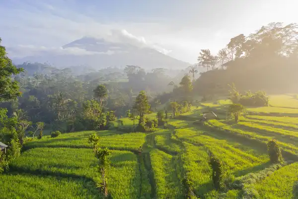 Photo of Bali