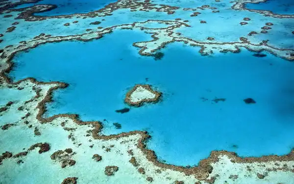 Photo of Great Barrier Reef