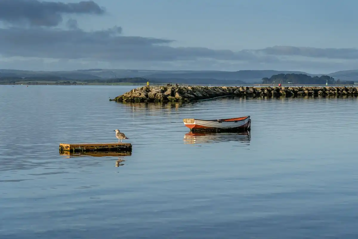 Poole