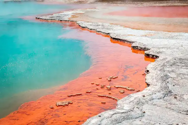 Photo of Rotorua
