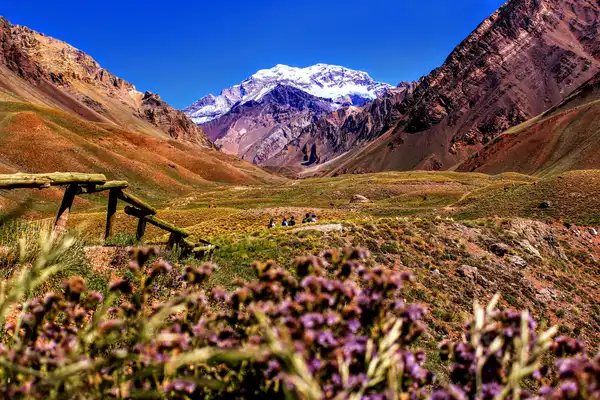 Photo of Mendoza