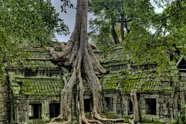 Photo of Cambodia