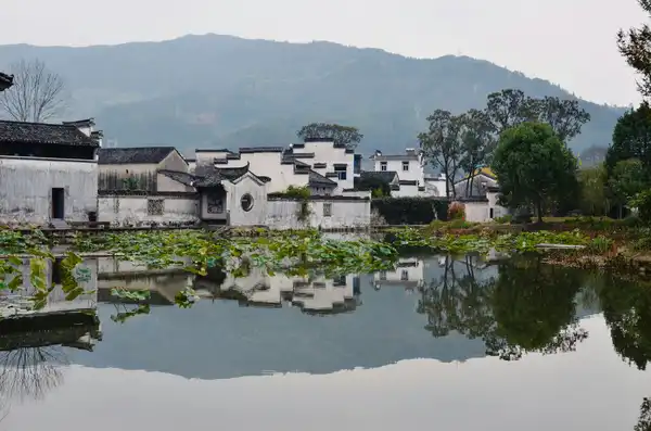 Photo of China Village