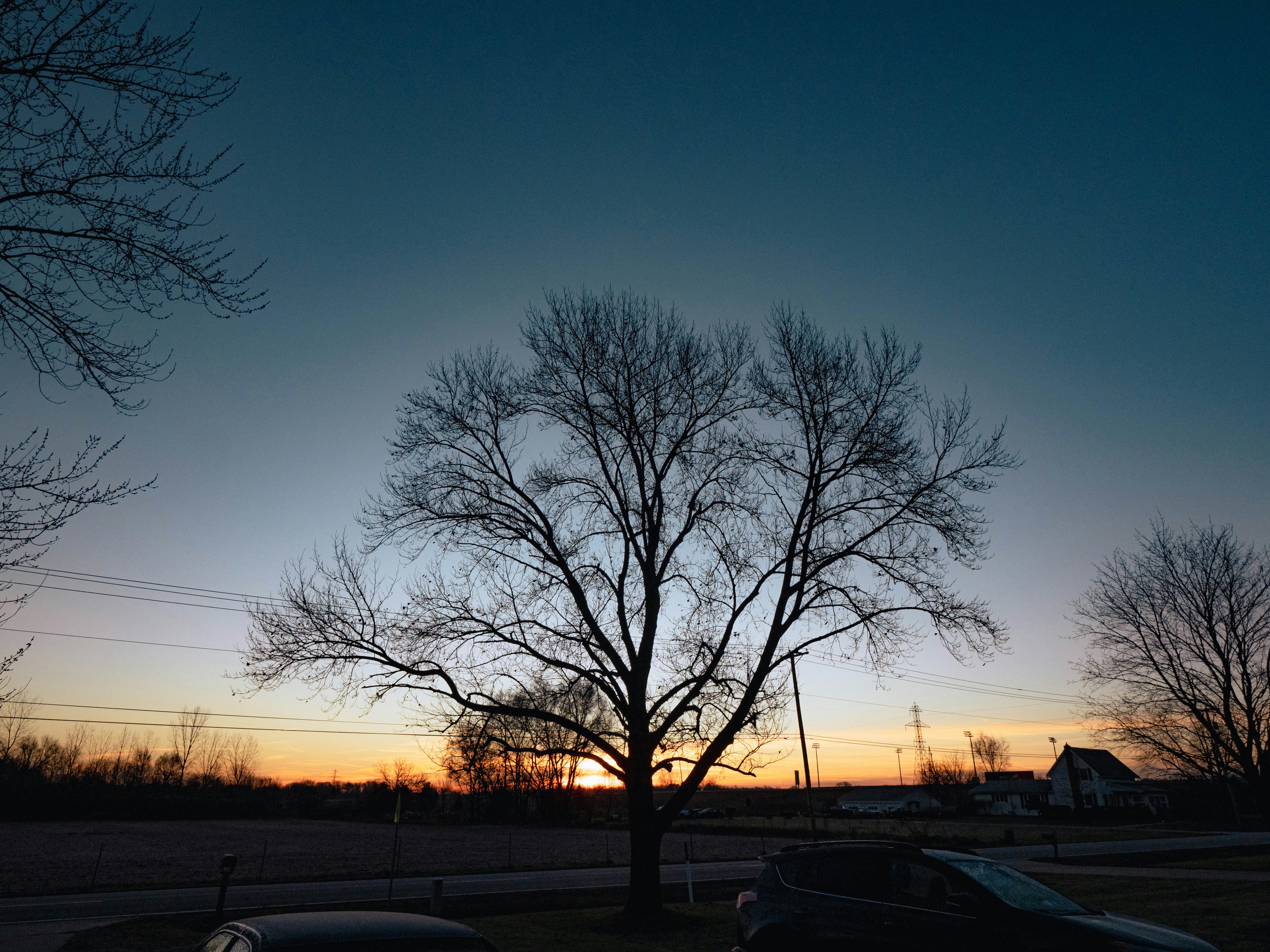 Info card header illustration