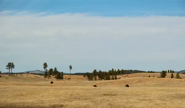Photo of Wind Cave National Park
