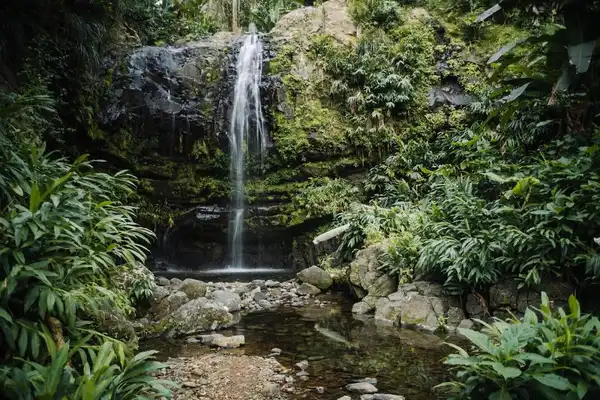 Photo of Ciales