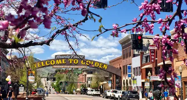Photo of Golden